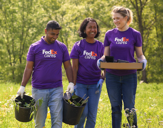 FedEx in the desert