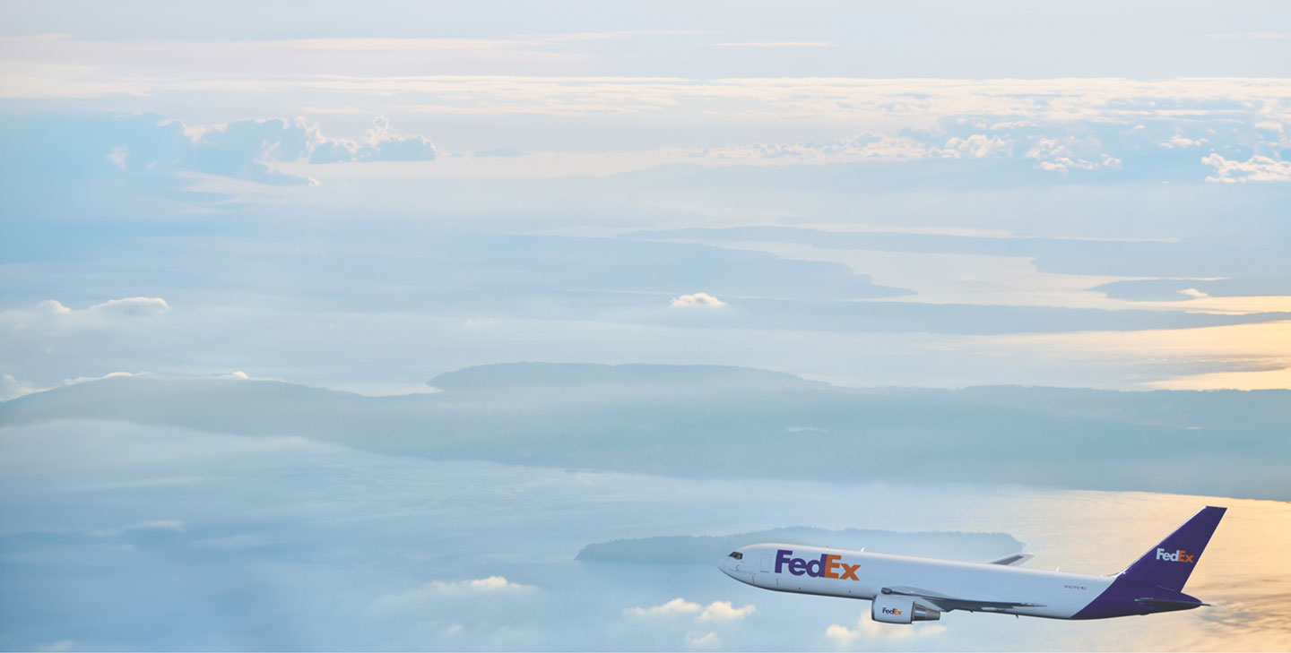 plane in the sky