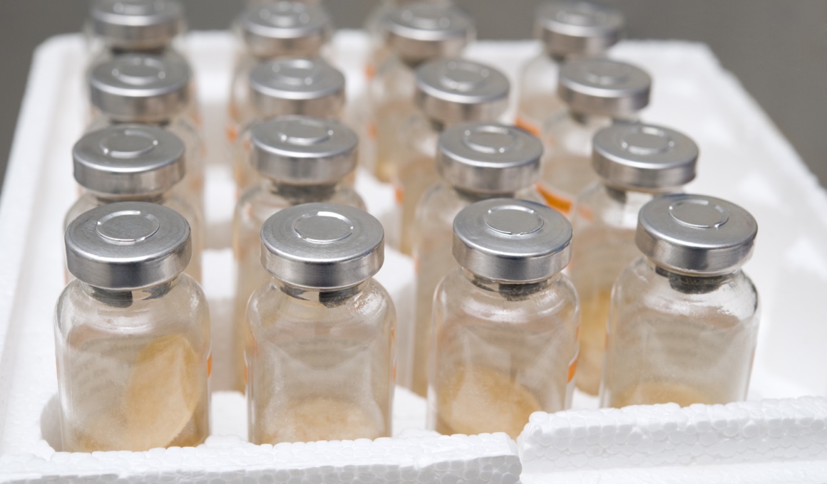 Photo of prescription empty bottles